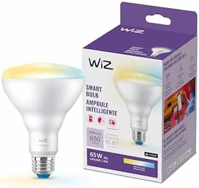 Lâmpada LED inteligente WiZ modelo BR30 ao lado de sua embalagem roxa.